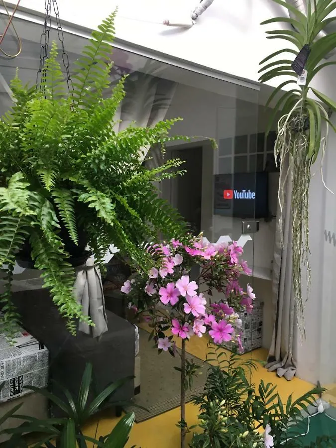 Augusta Jardins Home São Paulo Brasil