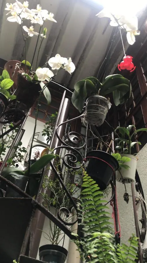 Augusta Jardins Home São Paulo